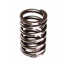 VALVE SPRING