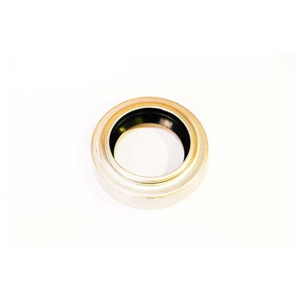 OIL SEAL For MASSEY FERGUSON 168F