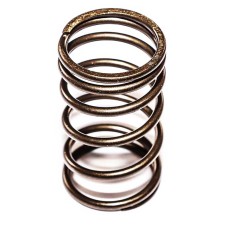 VALVE SPRING - OUTER