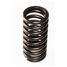 VALVE SPRING