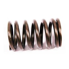 VALVE SPRING