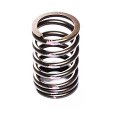 VALVE SPRING