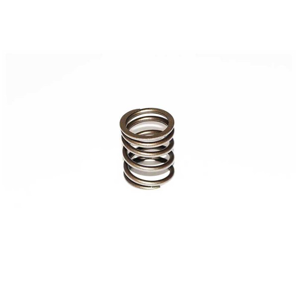 VALVE SPRING - OUTER For PERKINS 1006.6T(YC)