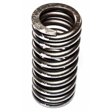 VALVE SPRING IN/EX (PKG 6)