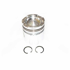 PISTON BODY C/W CLIPS (3048808)