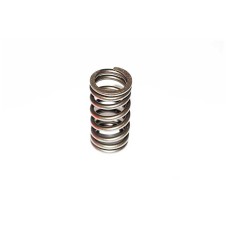 VALVE SPRING