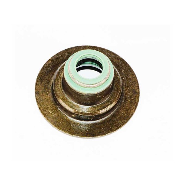 STEM SEAL - INLET VALVE For MASSEY FERGUSON 5440