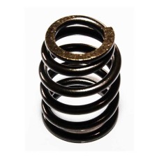 VALVE SPRING - INLET & EXHAUST