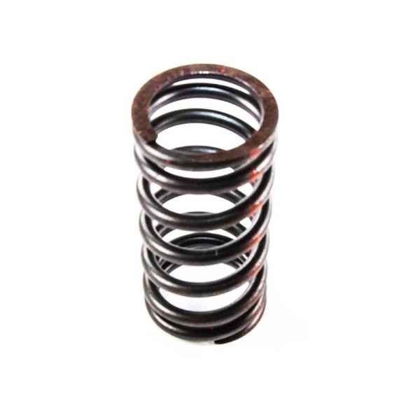 VALVE SPRING For FORD NEW HOLLAND T6010 DELTA