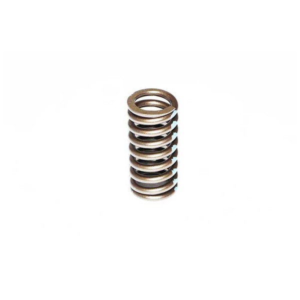 VALVE SPRING For CATERPILLAR C32