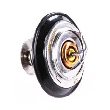 THERMOSTAT C/W SEAL