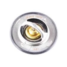 THERMOSTAT KIT C/W SEAL (190 F)