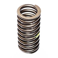 VALVE SPRING