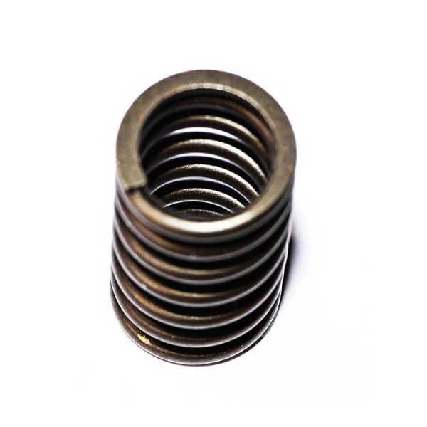 VALVE SPRING For KOMATSU SAA6D114E-2 (BUILD 9G)