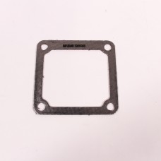 GASKET IN MANIFOLD