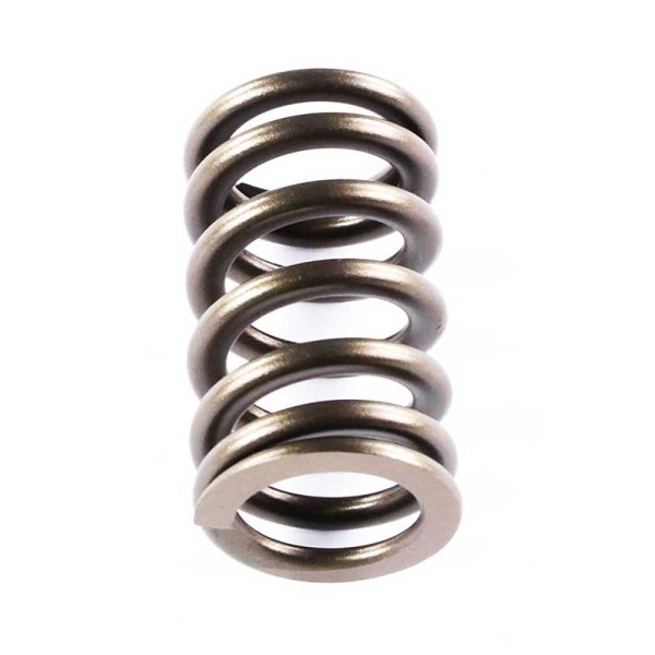 VALVE SPRING For KOMATSU SAA6D107E-1 (Do not Use)