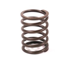 VALVE SPRING