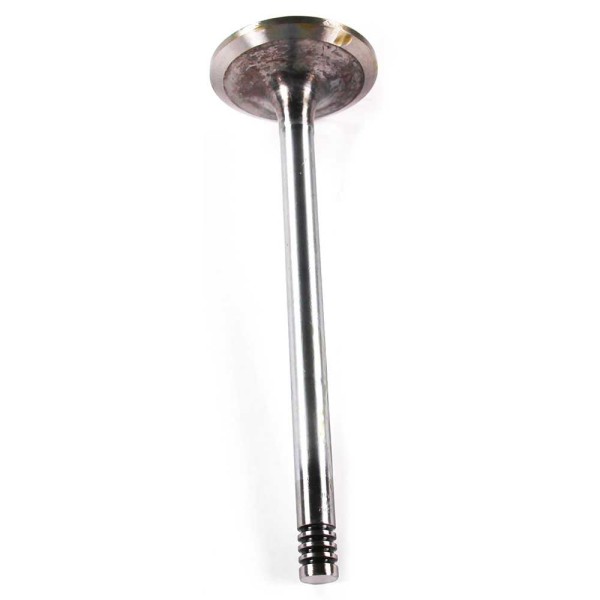 INTAKE VALVE For FORD NEW HOLLAND TM150 (BRAZIL)