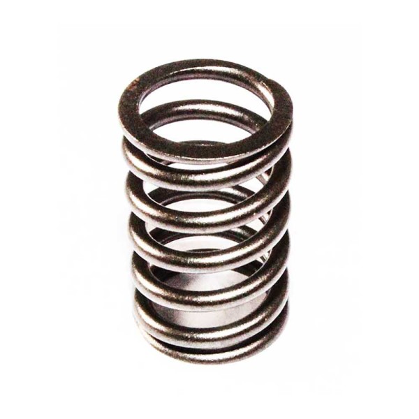 VALVE SPRING For JOHN DEERE 3029T PowerTech