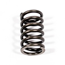 VALVE SPRING