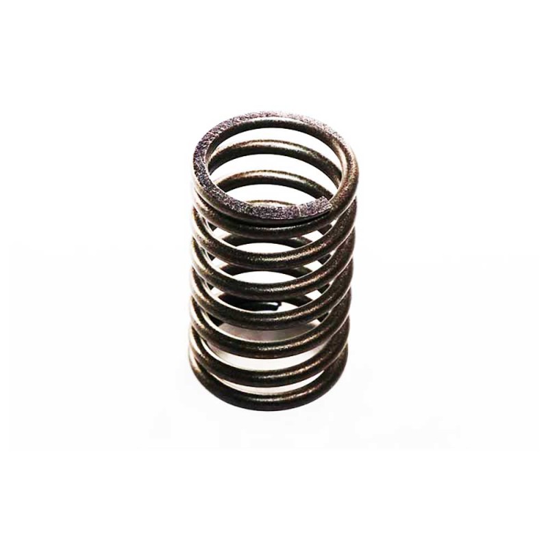 VALVE SPRING - OUTER