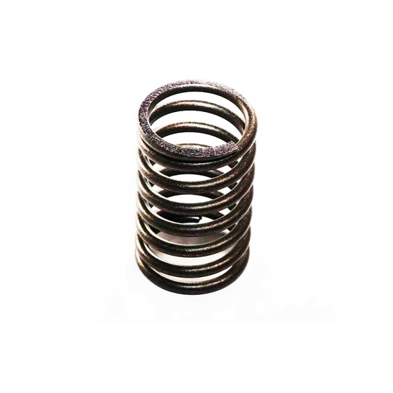 VALVE SPRING - OUTER For PERKINS A4.192
