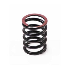 VALVE SPRING