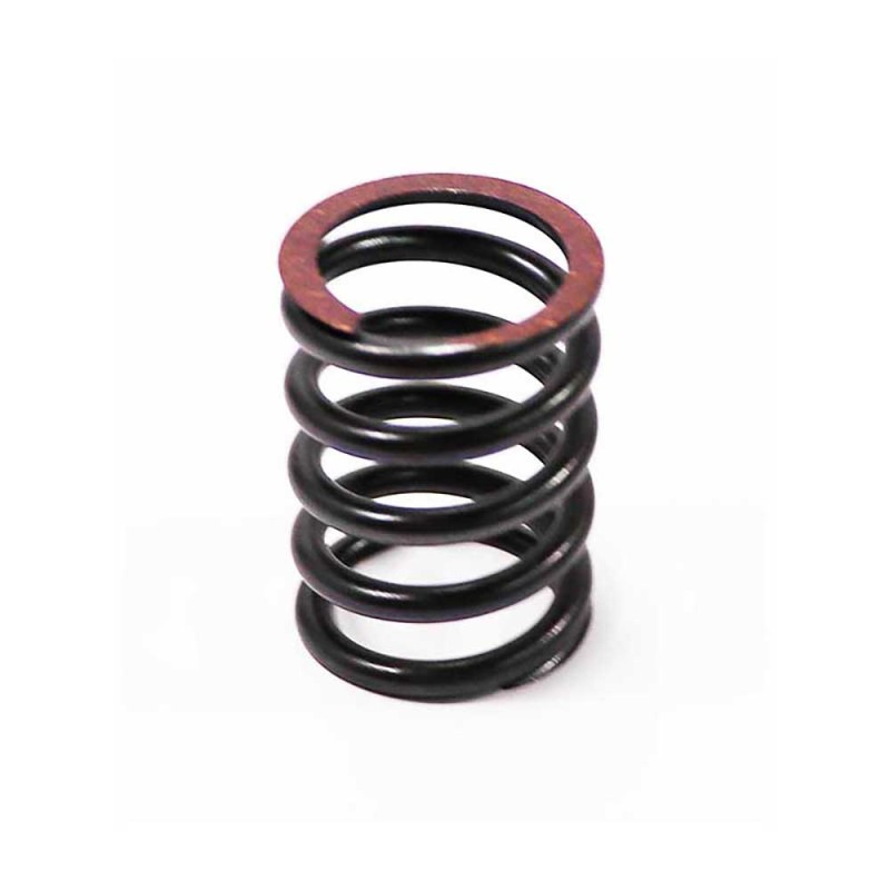 VALVE SPRING For CATERPILLAR 3034