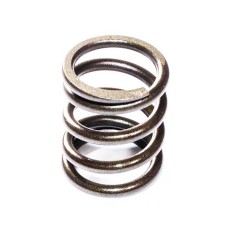 VALVE SPRING