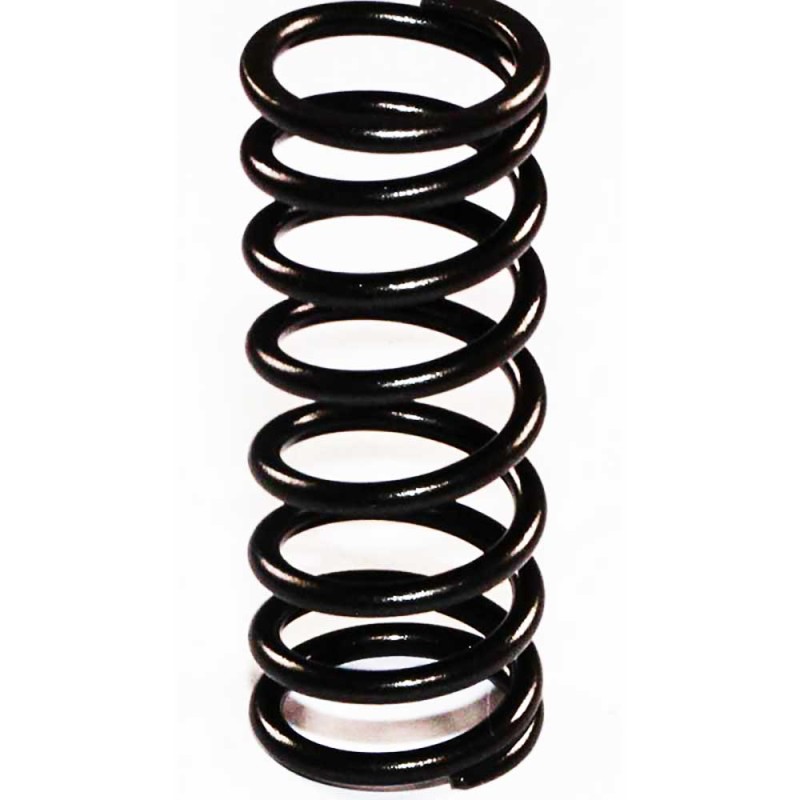 VALVE SPRING - INNER