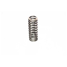 VALVE SPRING - INNER