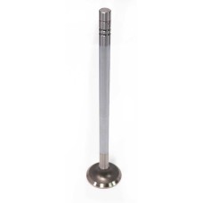 EXHAUST VALVE