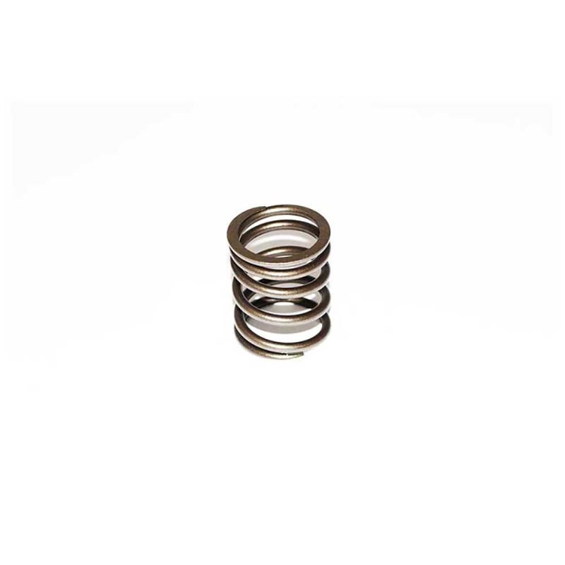 VALVE SPRING - OUTER For PERKINS T6.354.1(TH)