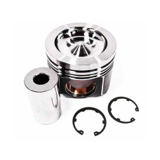 PISTON ASSY (C/W PIN+CLIPS)