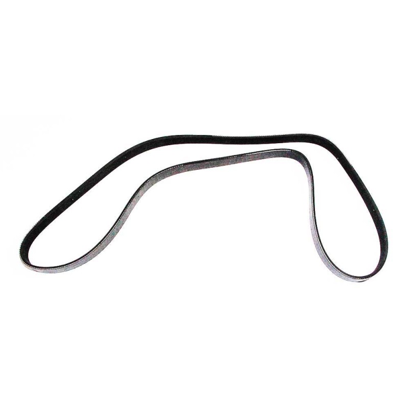 V BELT (RIBBED)