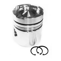 PISTON BODY C/W CLIPS (3017348)