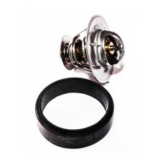 THERMOSTAT & SEAL (NON VENTED)