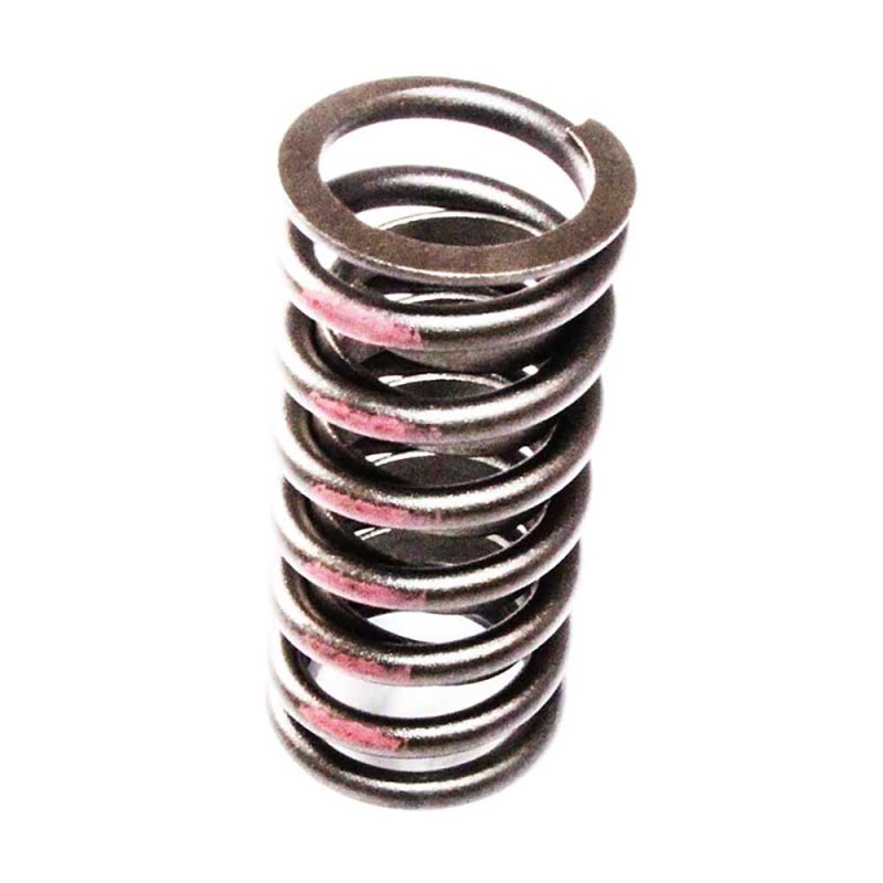 VALVE SPRING EX For CUMMINS 6CTA8.3