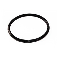 THERMOSTAT SEAL