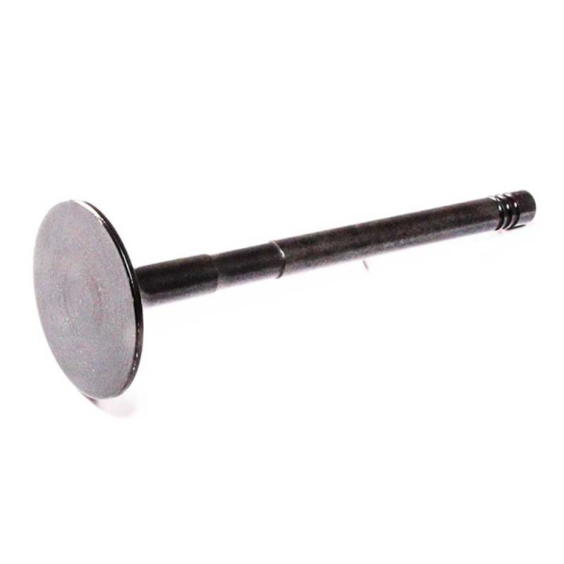 EXHAUST VALVE For MASSEY FERGUSON 5430