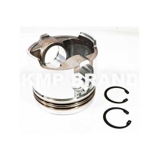 PISTON BODY C/W CLIPS