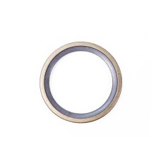 THERMOSTAT SEAL