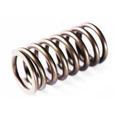 VALVE SPRING