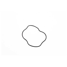 O RING
