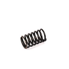 VALVE SPRING - INNER