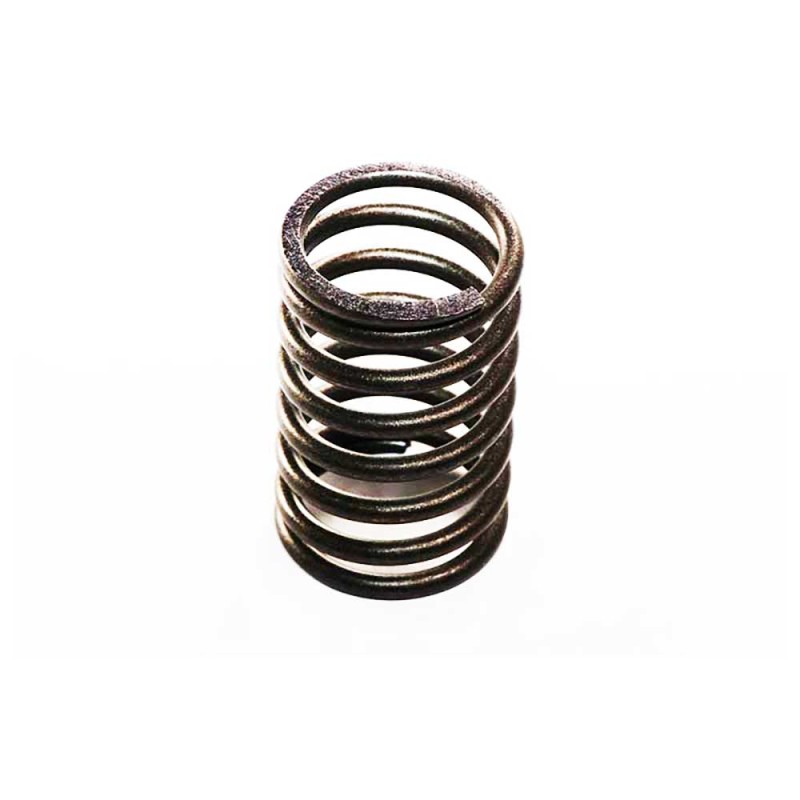 VALVE SPRING OUTER For MASSEY FERGUSON 40