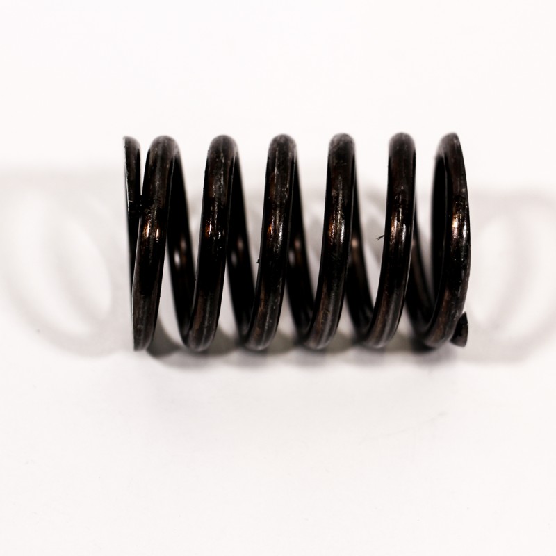 VALVE SPRING