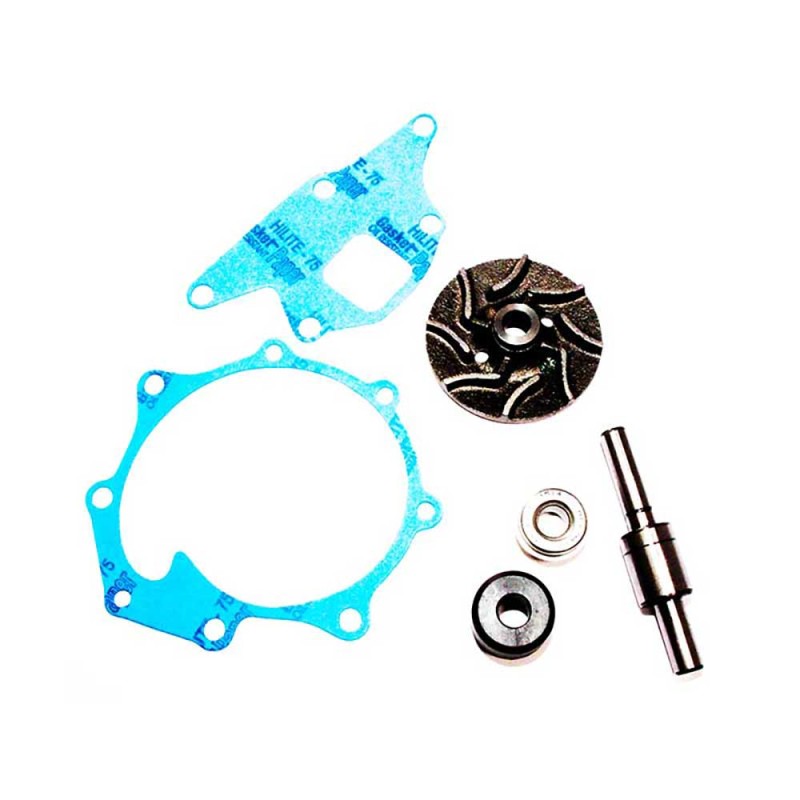 WATER PUMP KIT For FORD NEW HOLLAND 8200